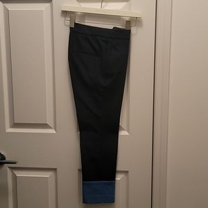 Ann Taylor Ankle Pants